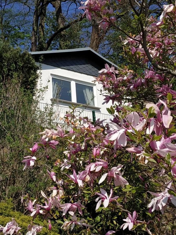 Das Ferienhaus Mit Aussicht بيرنا المظهر الخارجي الصورة